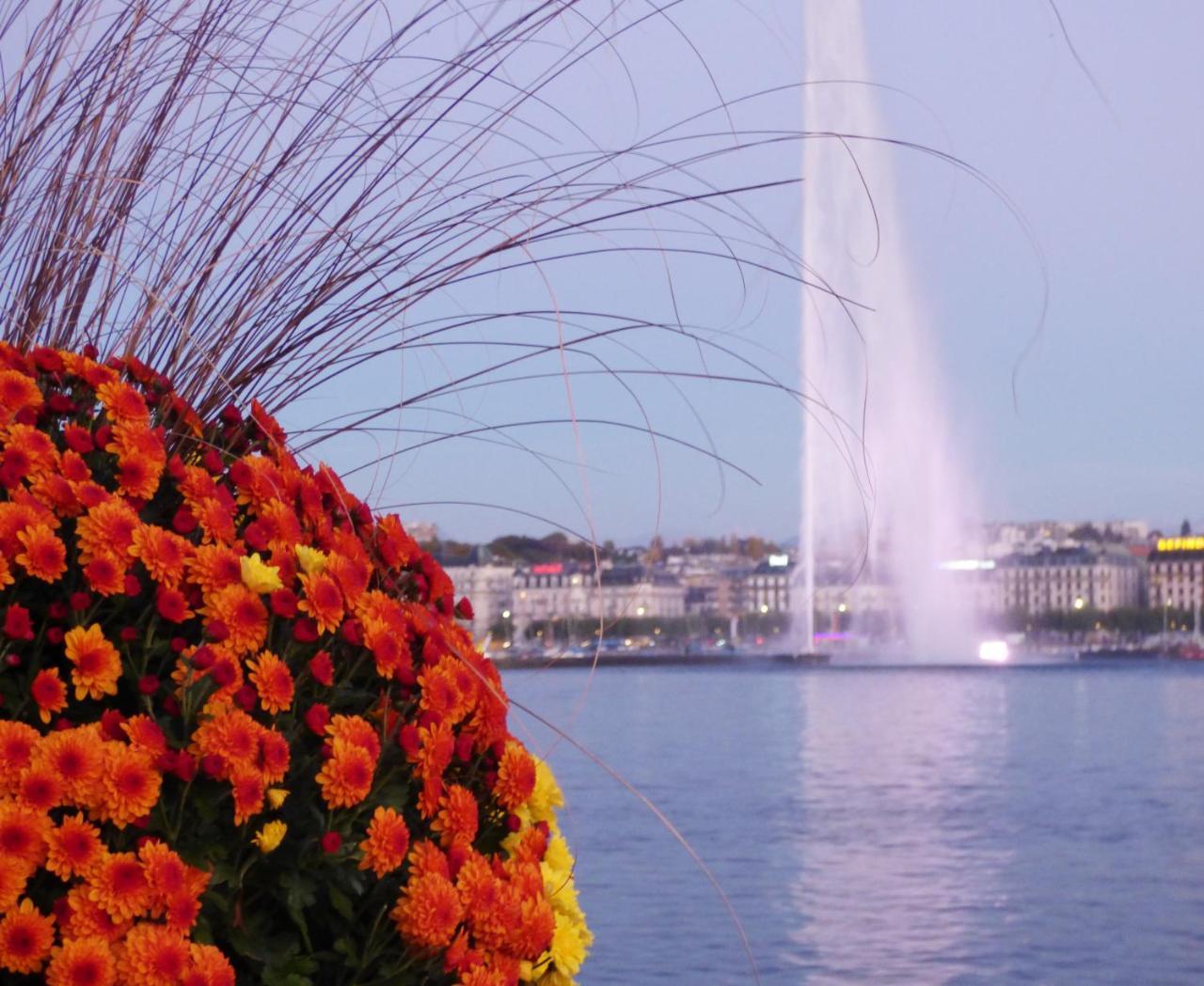 Fraser Suites Geneva - Serviced Apartments Esterno foto